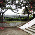 千葉市美浜区の真砂第2公園から見える「チューリップ保育園」の千葉モノレール1000形