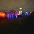 サバンナエリアのライトアップのようす　画像提供：大阪市天王寺動物園