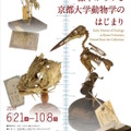 京都大学総合博物館 創立20周年記念 平成29年度企画展「標本からみる京都大学動物学のはじまり」