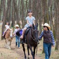フェニックス・シーガイア・リゾート「新しいシーガイアの夏休み」　親子で体験プログラム　はじめての親子で乗馬体験