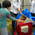 おおはし里の杜でおこなわれた脱穀体験イベント（20日）