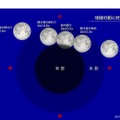 地球の影に対する月の動き　(c) 国立天文台 天文情報センター