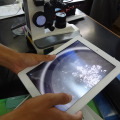 iPad 2を植物の観察に活用