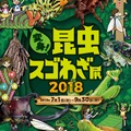 変身！昆虫スゴわざ展2018