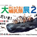 特別展「大哺乳類展2」2019年3月21日から6月16日まで開催