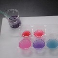色の変わる水の実験で、地球環境問題を考えよう！