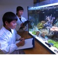 「サンゴ未来研究所」体験の様子（イメージ）