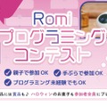 Romiプログラミングコンテスト