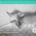 AIで赤ちゃんの睡眠を守る！寝返りやうつ伏せ寝を検知する「スマートベビーモニター」が、期間限定15％OFF