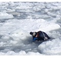 流氷が浮かぶ海中に入ったり、箱メガネで中をのぞいてクリオネを探す