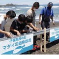 千葉県の魚「マダイ」の放流