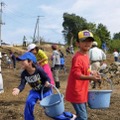 子どもたちによるボランティア作業風景