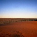 夕日が照らすロマンチックな赤砂漠……シンプソン砂漠 / オーストラリア