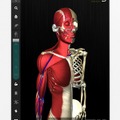 3D人体解剖アプリ、teamLabBody