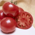 トマト（CF桃太郎ファイト）