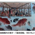 企画展示「水族館の歴史と海遊館」堺水族館館内の様子（「風俗画像」1903年より）