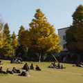 東京工業大学（参考画像）