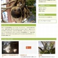 いきもの図鑑のWebページ