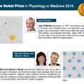ノーベル生理学・医学賞の受賞者3名