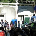 パンダの日イベント　昨年の様子