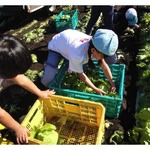 時計職人＆農業体験、キッザニアの夏休み実社会体験プログラム