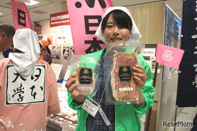 日本大学生物資源科学部　ミントの生産から豚の飼育まで携わった学生が「日大ミンとん」を販売