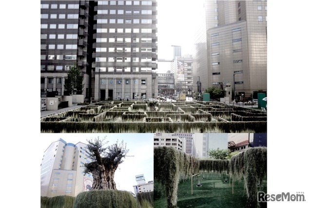 2015年春に開催された「迷宮植物園」