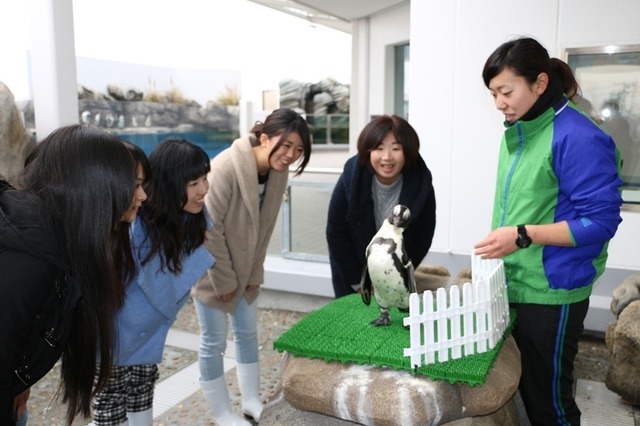 「ペンギンツアー」／「仙台うみの杜水族館」