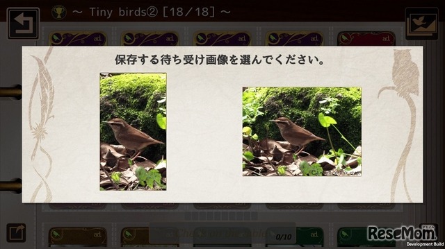 野鳥カードを分類ごとにコンプリートすると、オリジナル待ち受け画面を入手できる