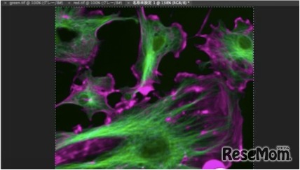 エルピクセルとアドビシステムズが「研究者のための画像処理」教育動画を製作