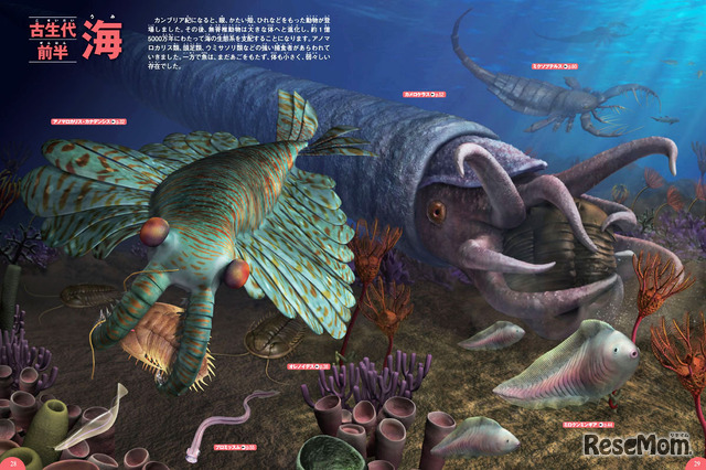 約5億年も昔の海のようすを、迫力あるパノラマイラストで紹介