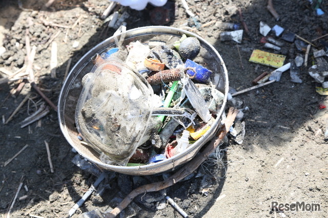 海辺にはさまざまな種類のゴミが