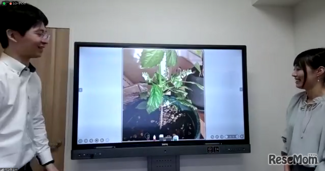 植物の画像を読み込んで動画を作成