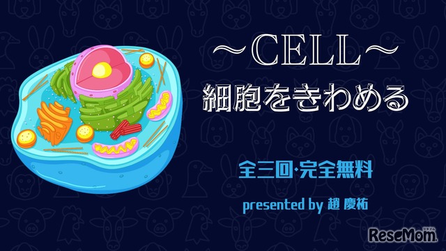 ～CELL～ 細胞をきわめる