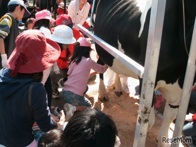 親子で乳牛牧場体験、新鮮な牛乳を使った料理作りなども…10/28福岡 