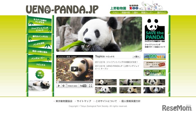 上野動物園のパンダ情報サイト「UENO-PANDA.JP」
