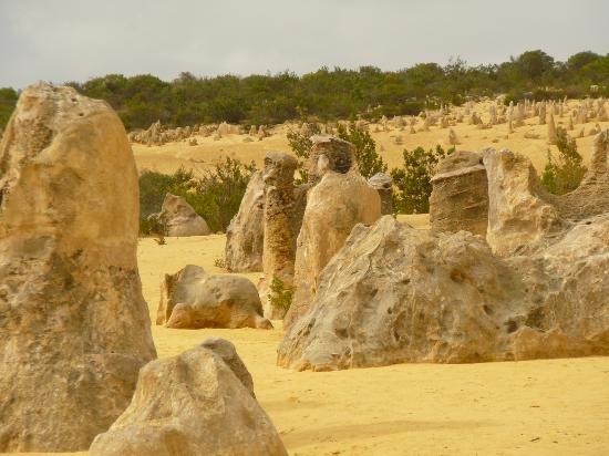 砂丘に奇岩が並ぶ、荒野の墓標………ピナクルズ / オーストラリア