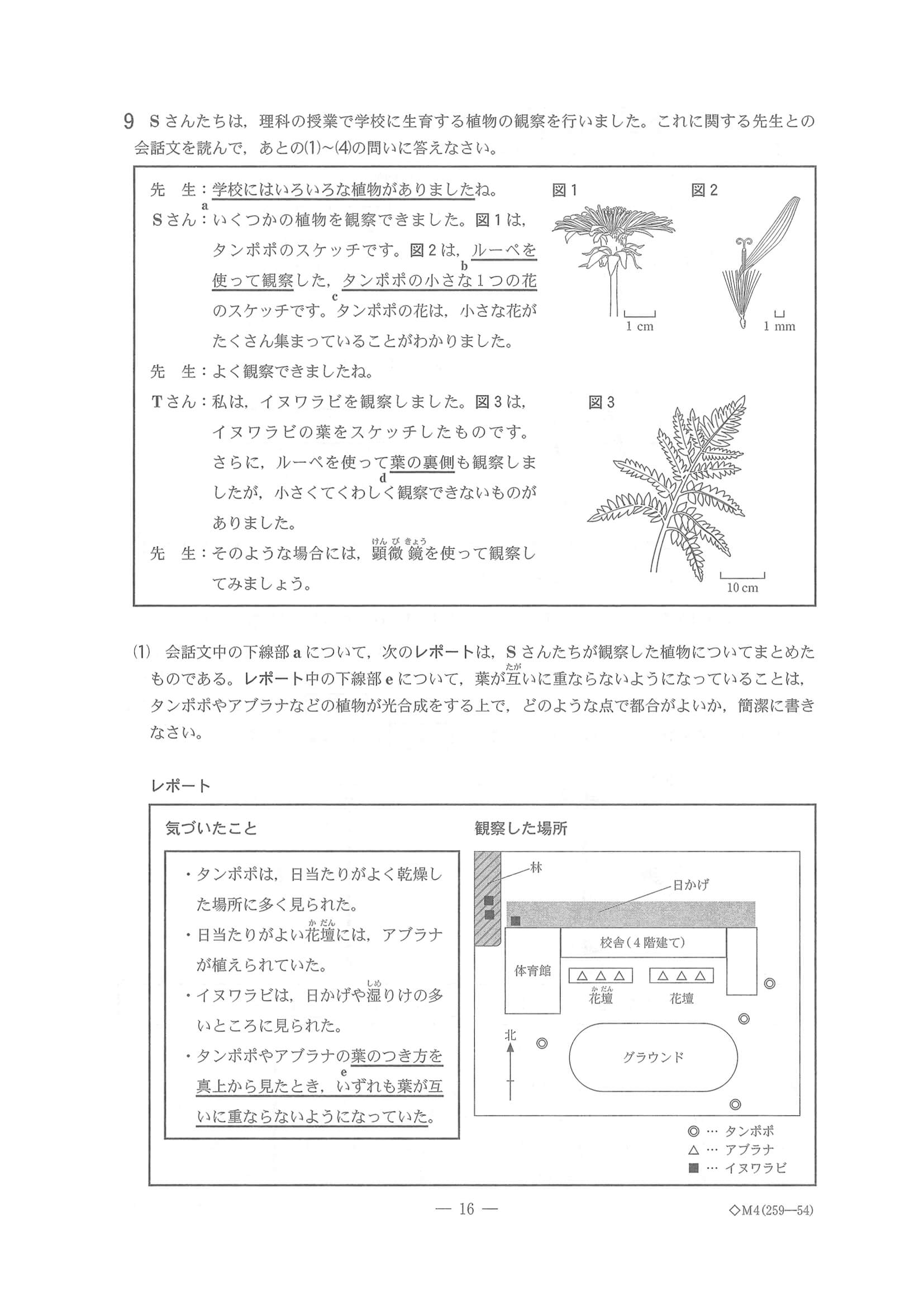 2023年度 千葉県公立高校入試（標準問題 理科・問題）16/17