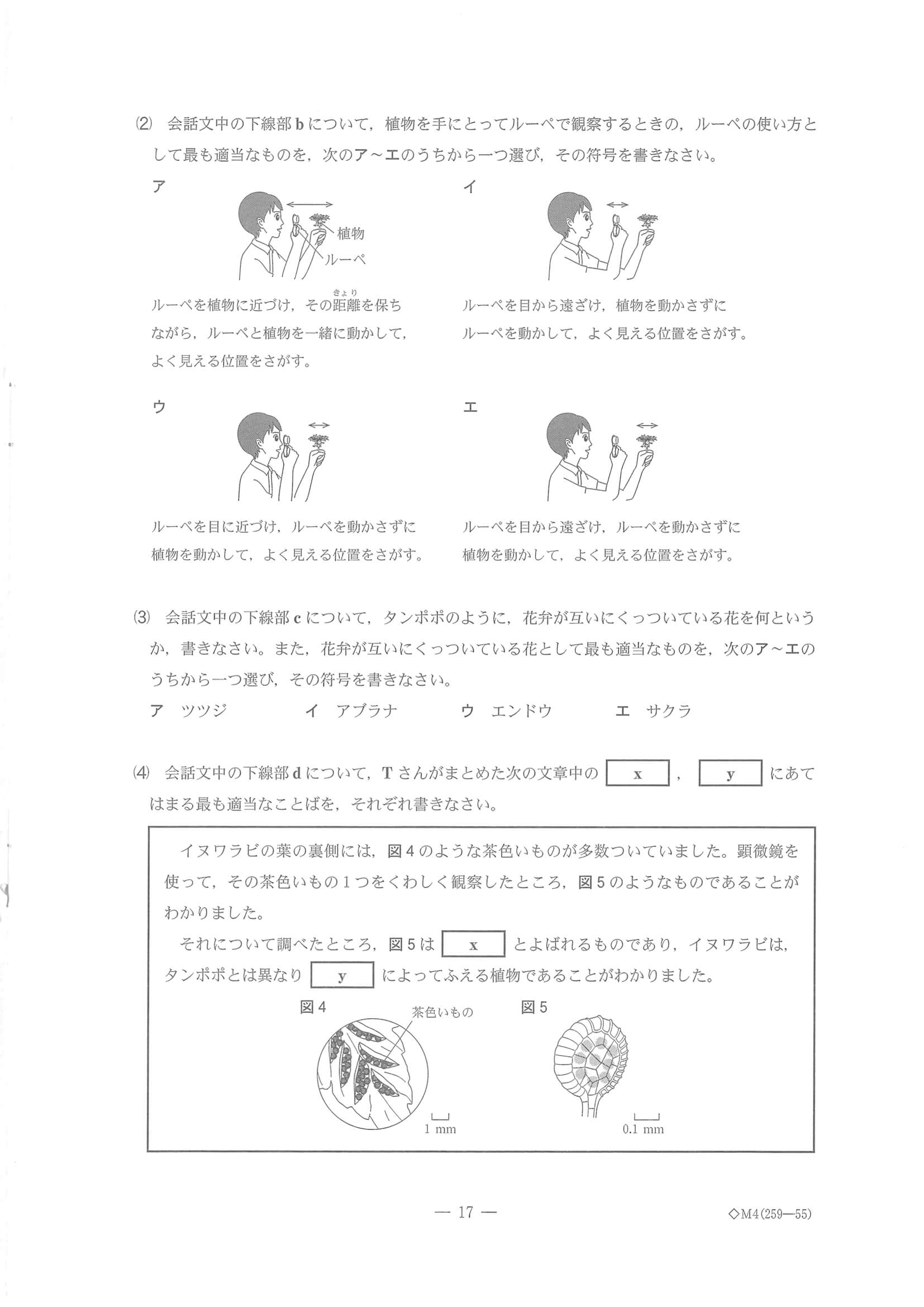 2023年度 千葉県公立高校入試（標準問題 理科・問題）17/17