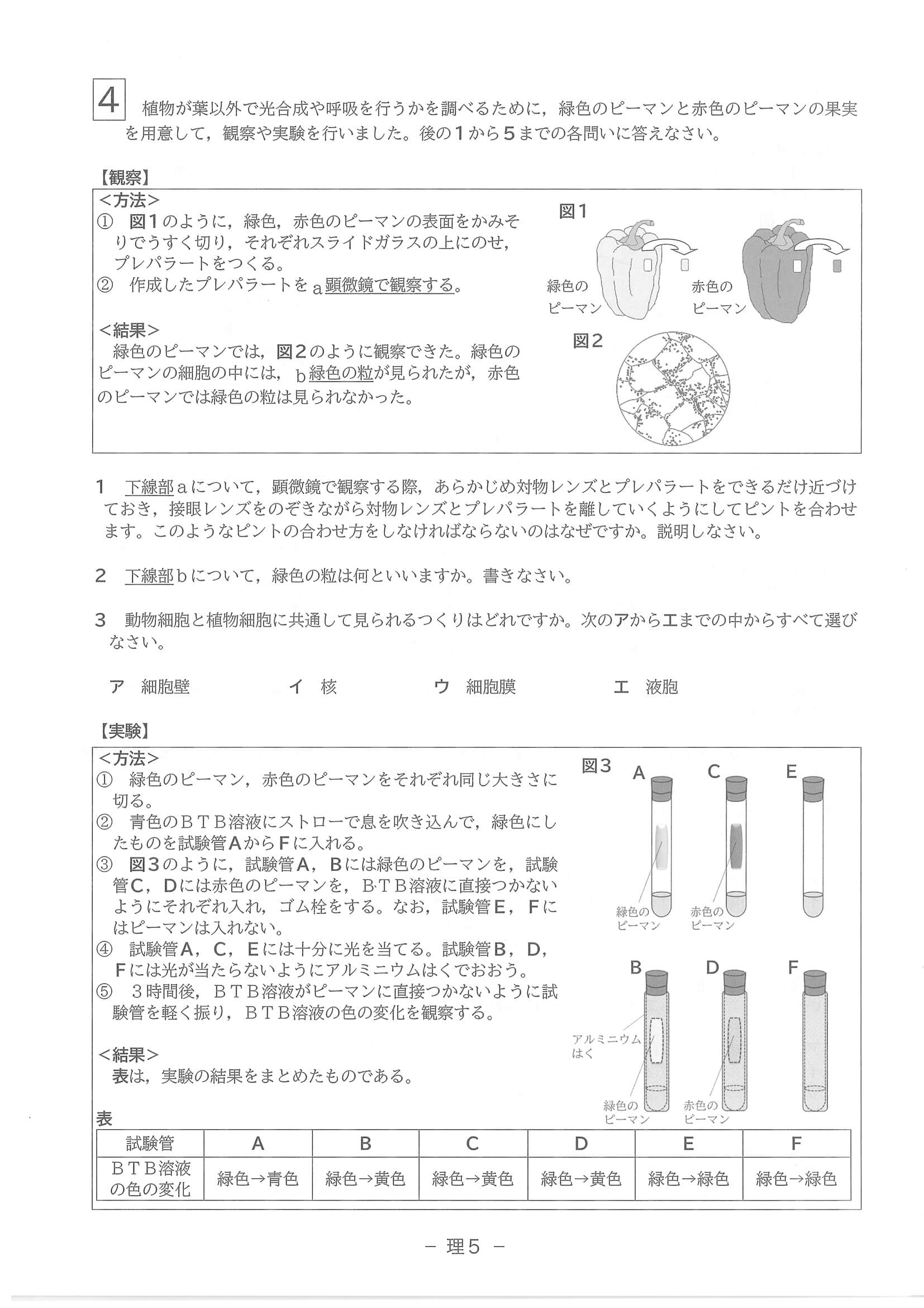 2023年度 滋賀県公立高校入試（標準問題 理科・問題）5/6