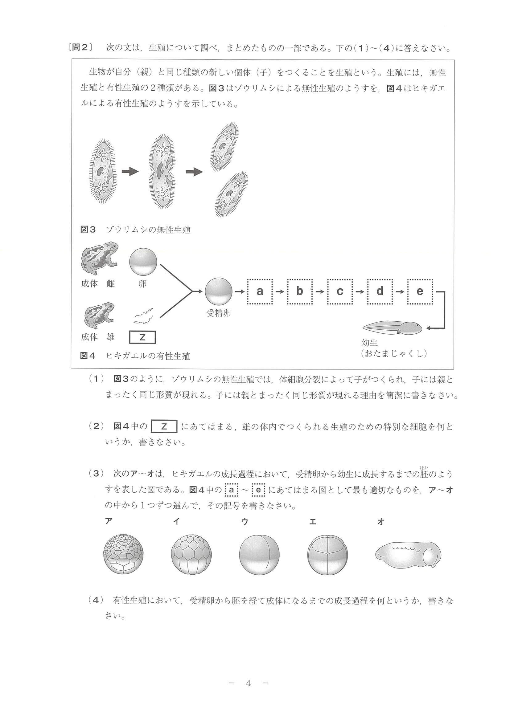 2024年度 和歌山県公立高校入試（標準問題 理科・問題）4/10