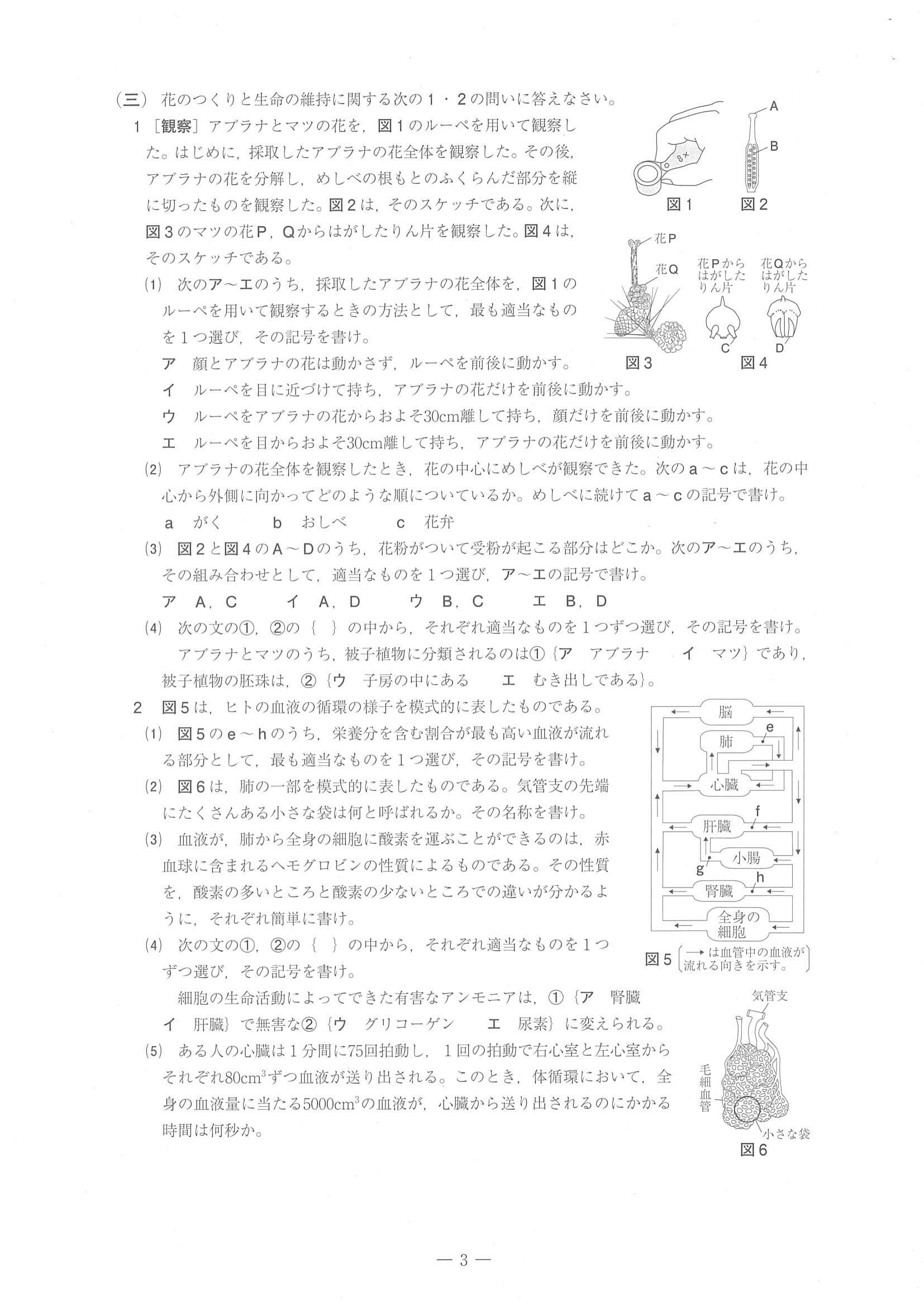 2021年度 愛媛県公立高校入試（標準問題 理科・問題）3/6