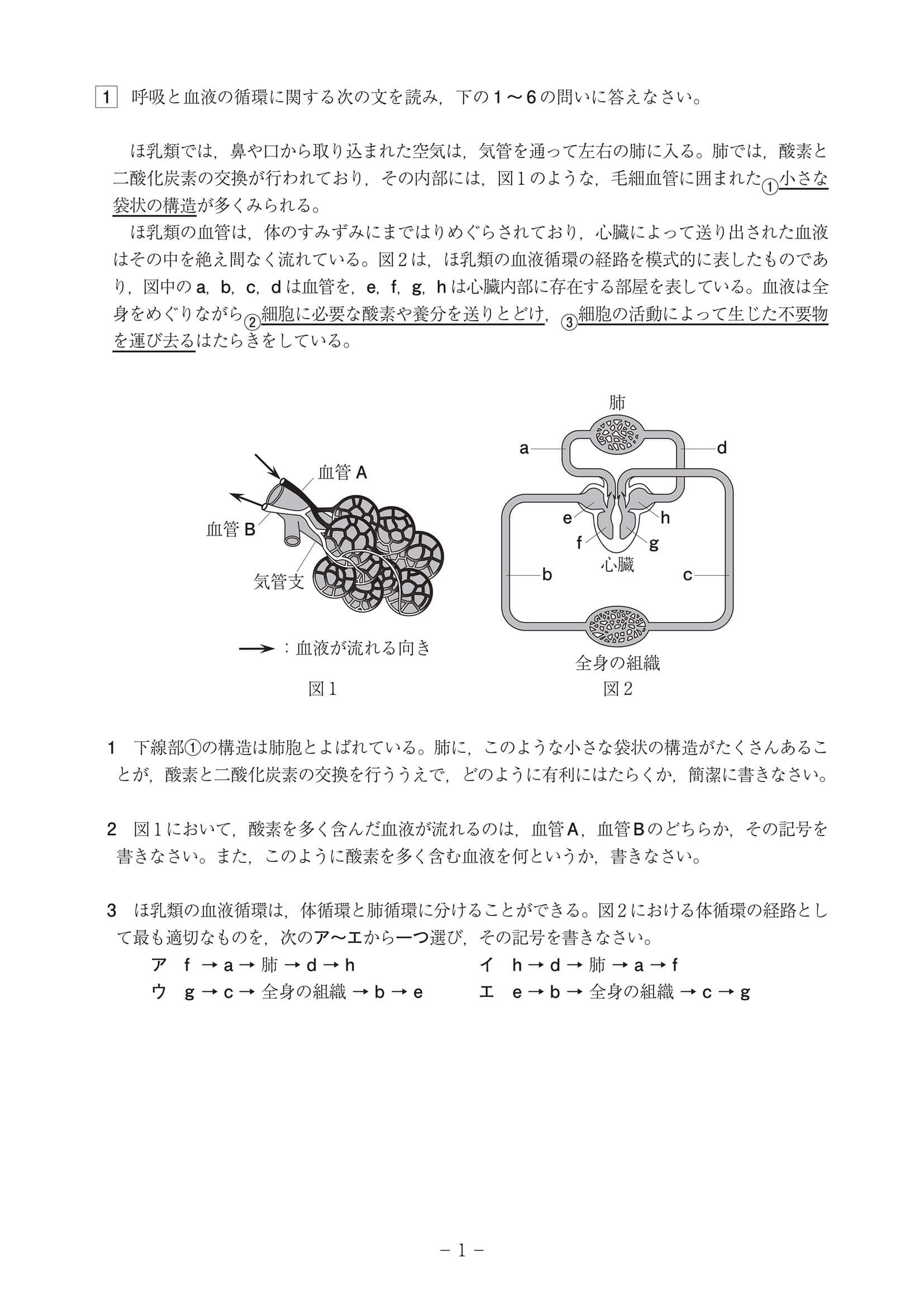 2024年度 高知県公立高校入試（B日程 理科・問題）1/7