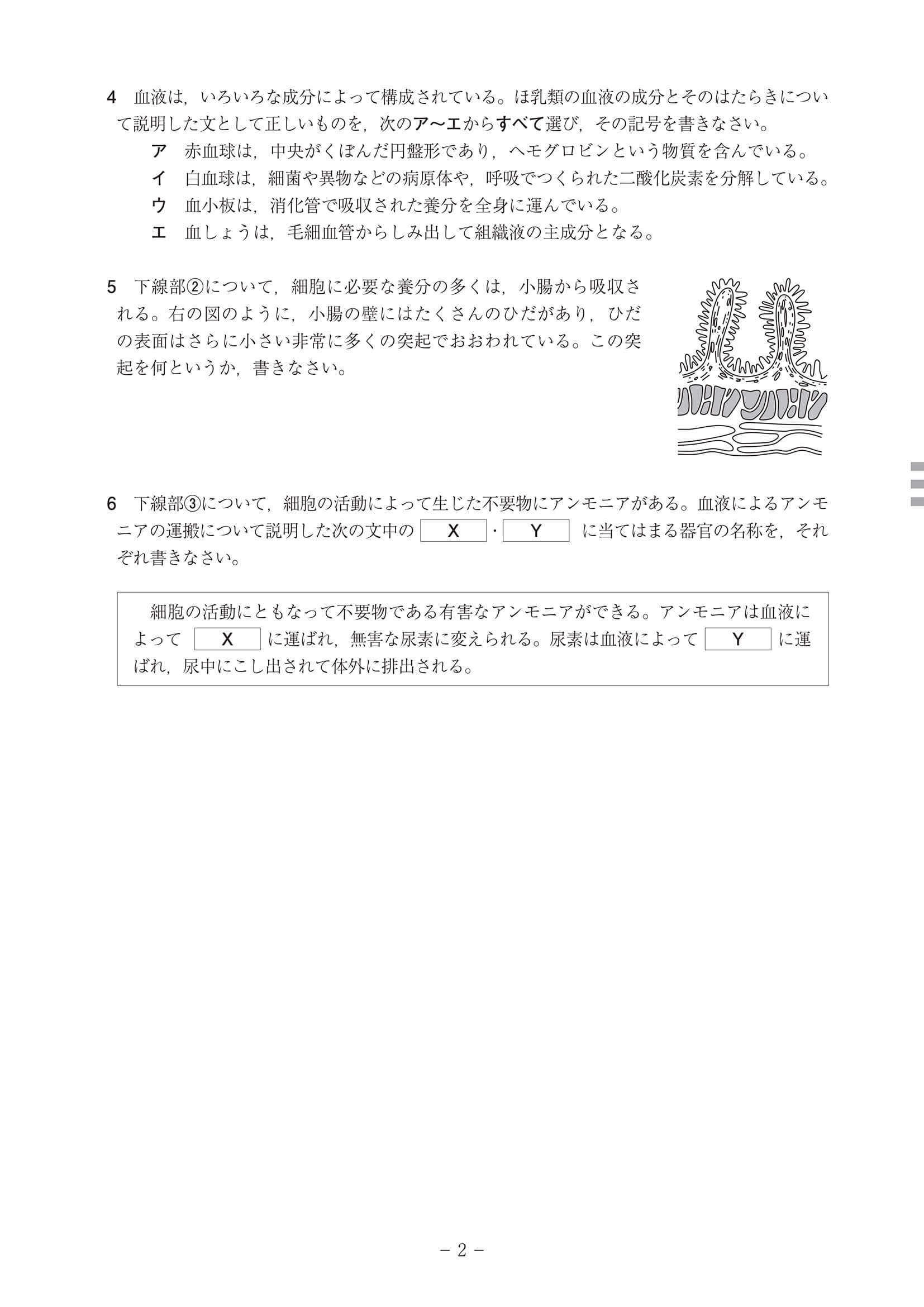 2024年度 高知県公立高校入試（B日程 理科・問題）2/7