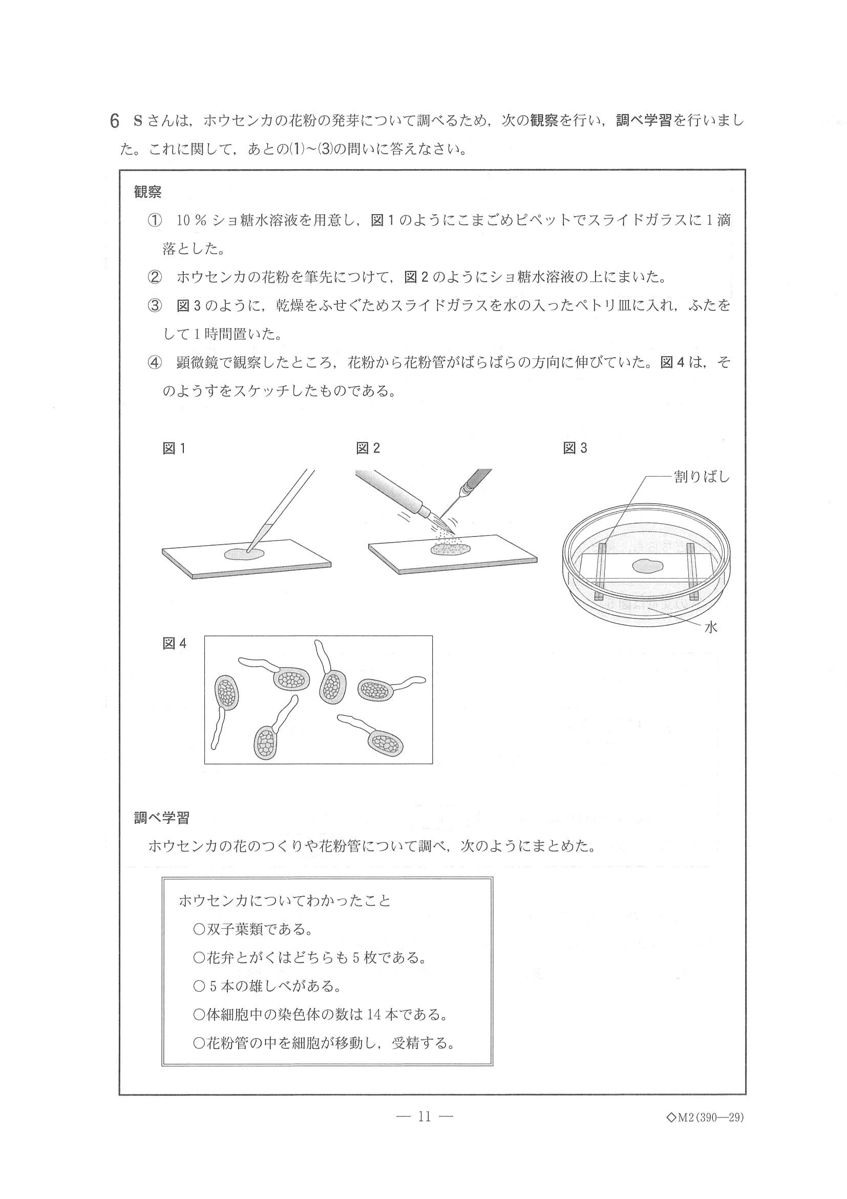 2014年度 千葉県公立高校入試（理科・問題）11/16