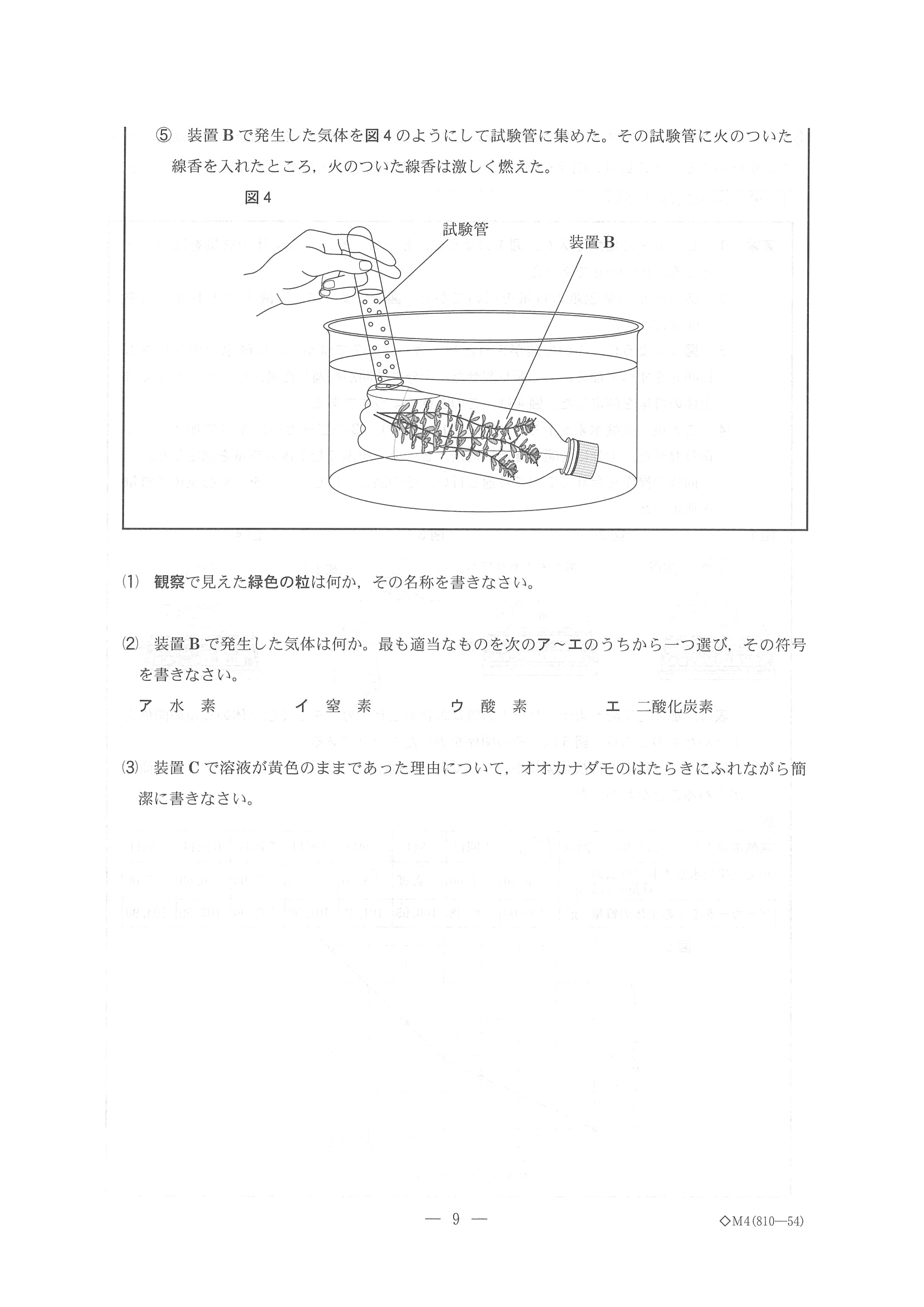 2015年度 千葉県公立高校入試（理科 前期・問題）9/17