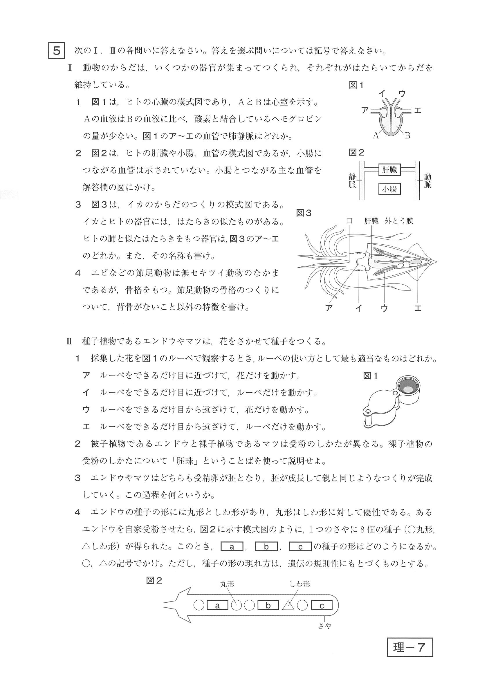 2014年度 鹿児島県公立高校入試（理科・問題）6/6