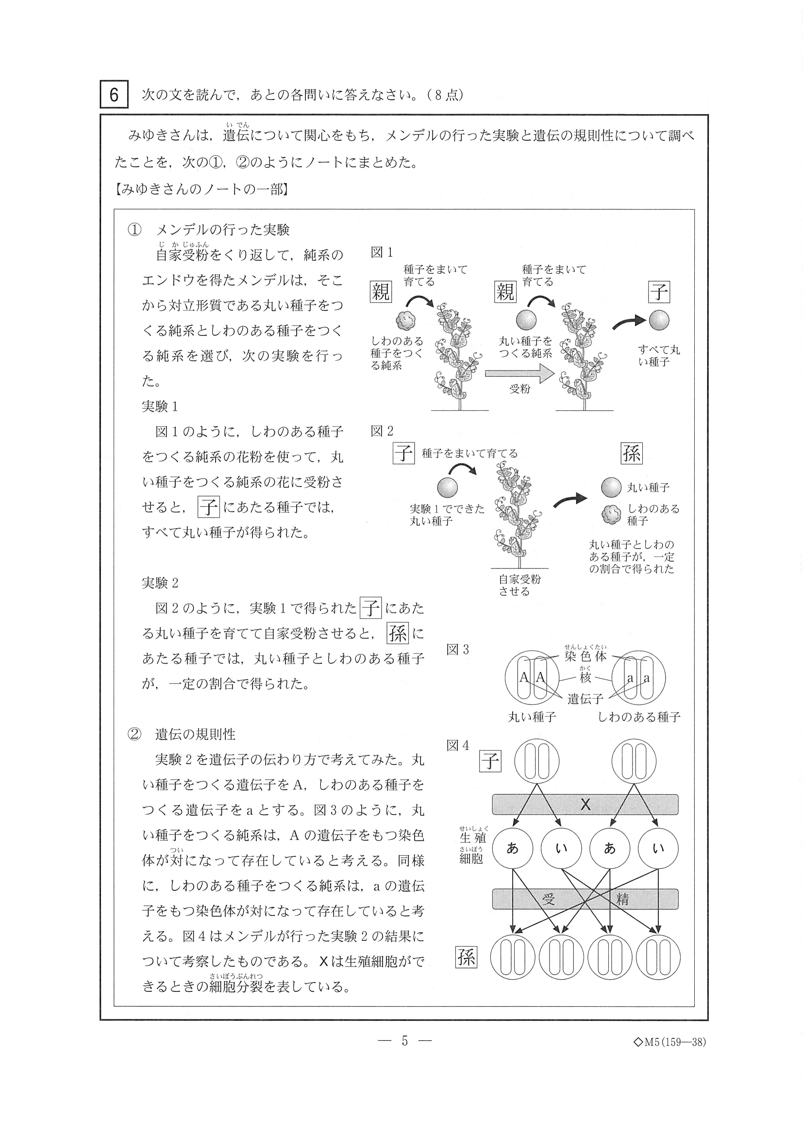 2019年度 三重県公立高校入試（標準問題 理科・問題）5/10