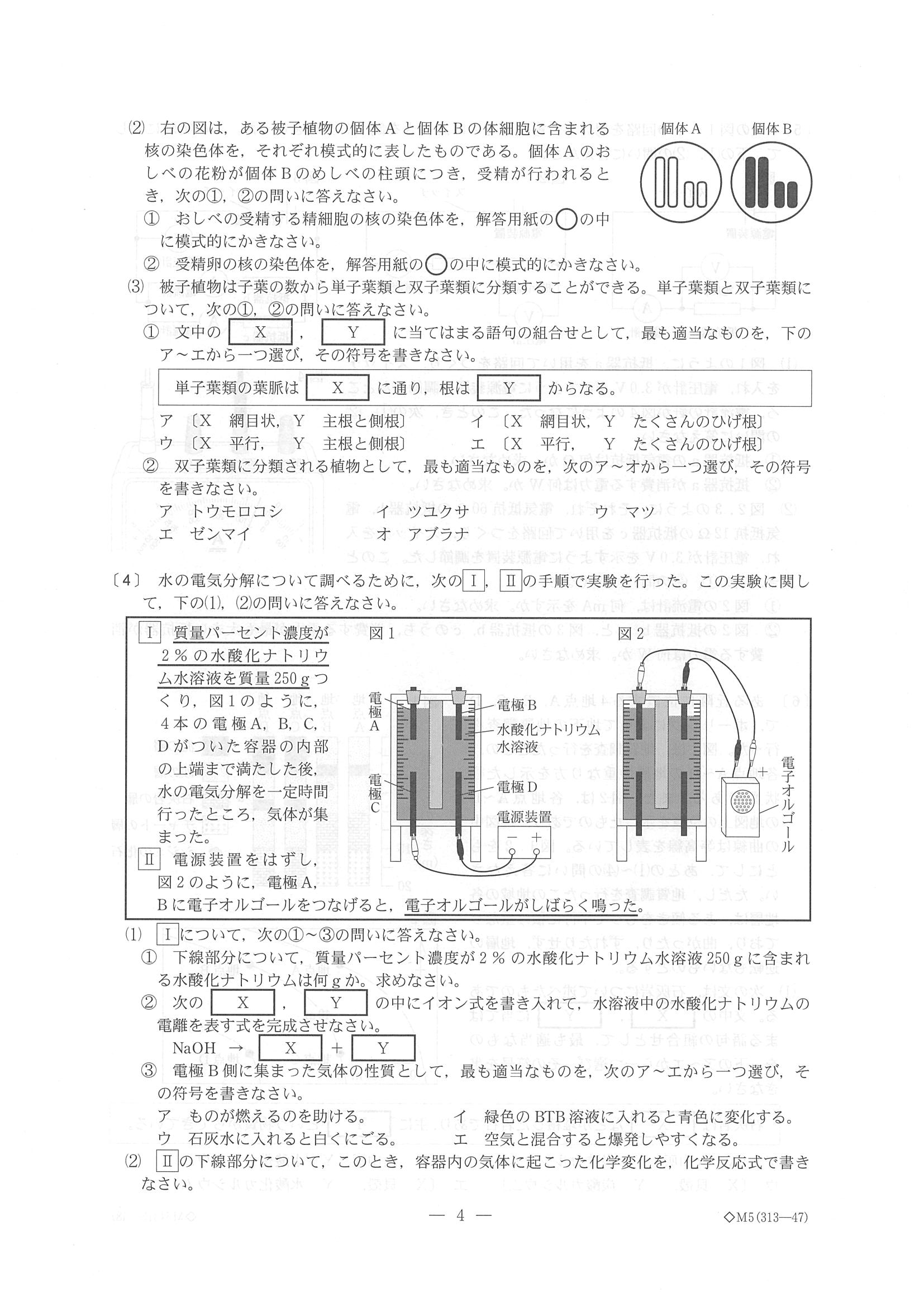 2018年度 新潟県公立高校入試（標準問題 理科・問題）4/6