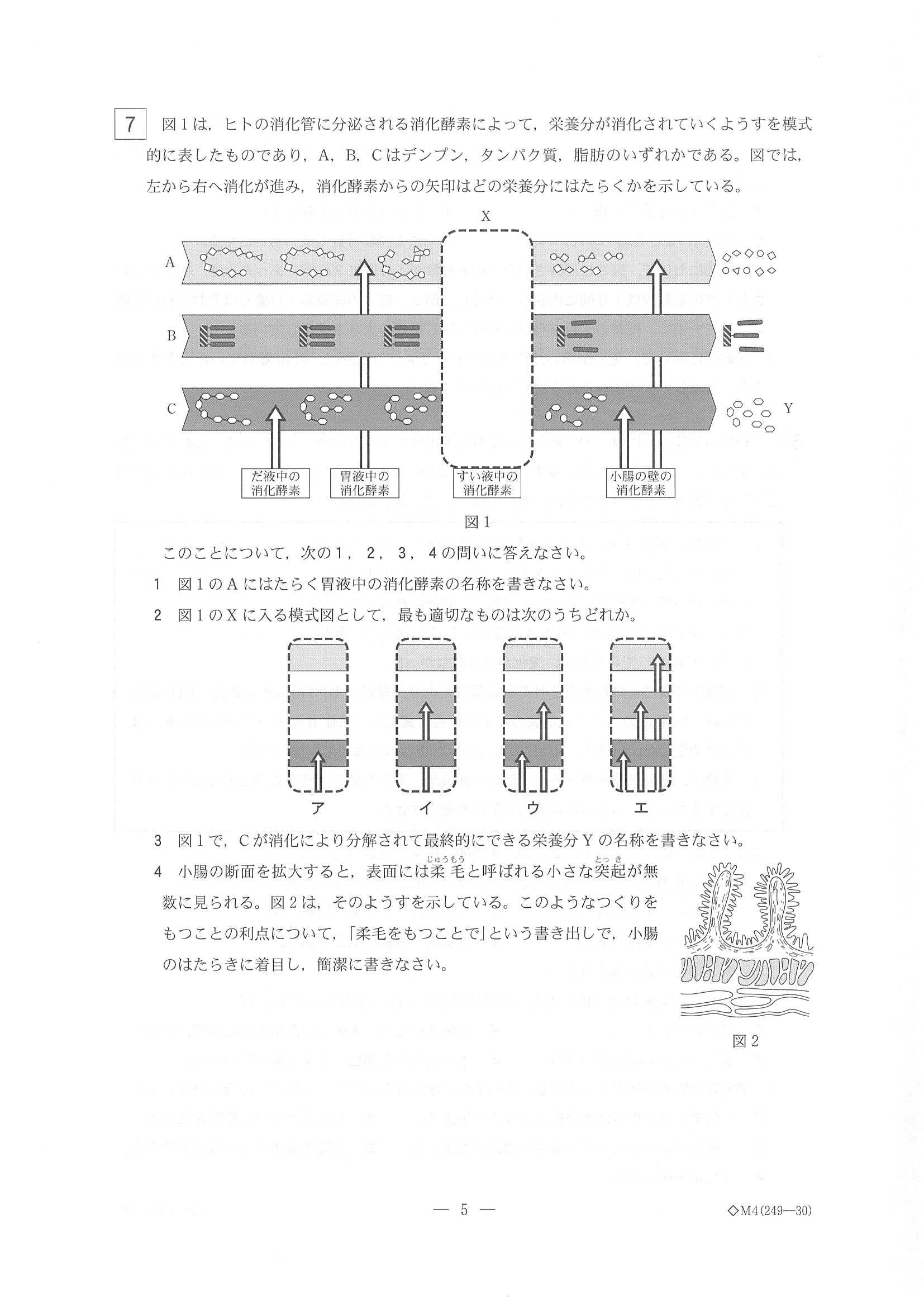 2017年度 栃木県公立高校入試（理科・問題）5/7